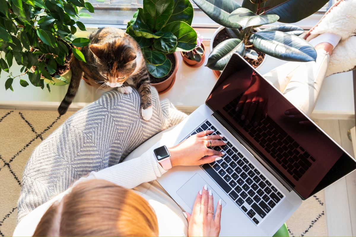 The photo shows plants, a cat, and a girl using a laptop referring to selling notions or excel templates is a good option for making money from home with little ongoing work.