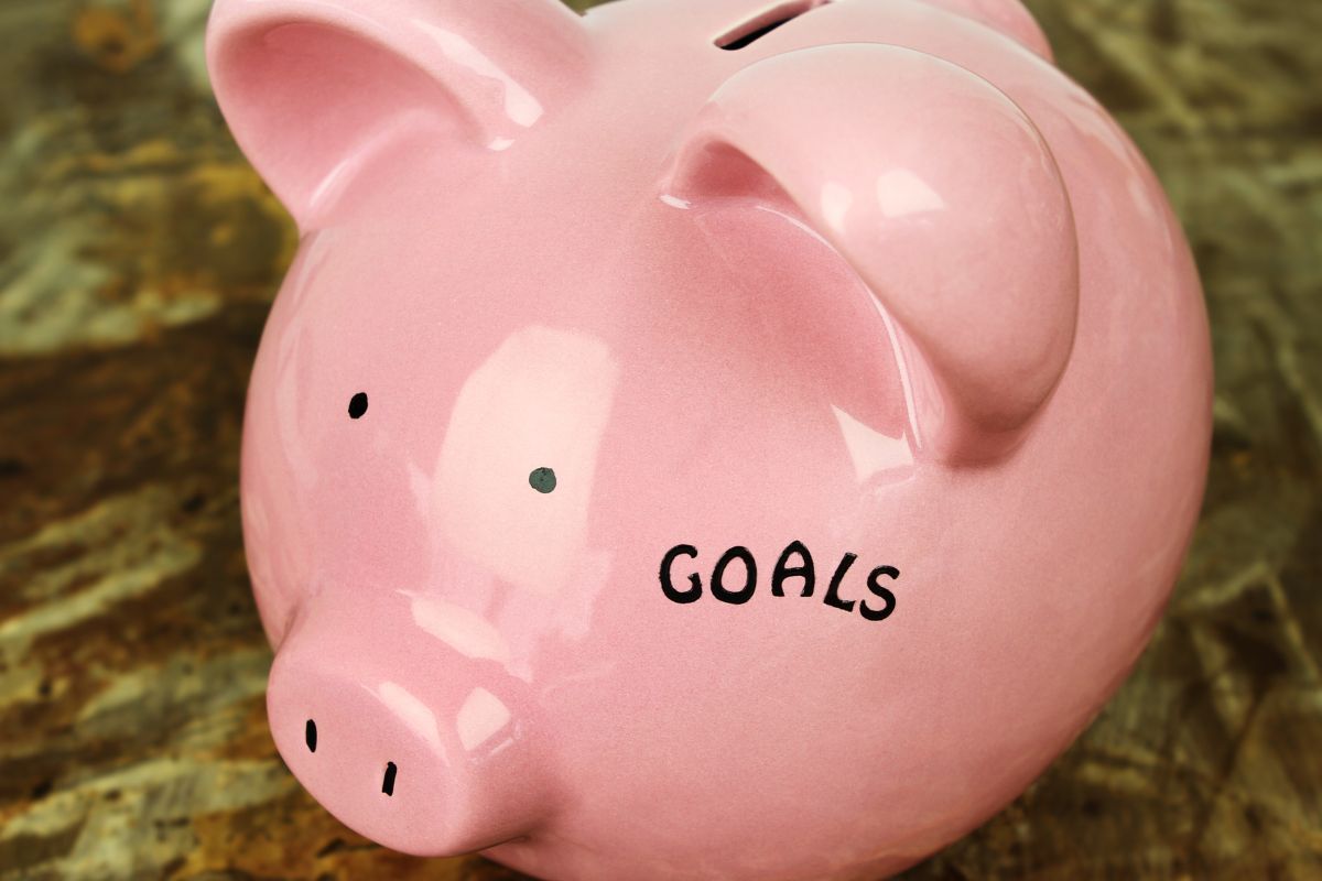 The picture shows a piggy bank with goals label.