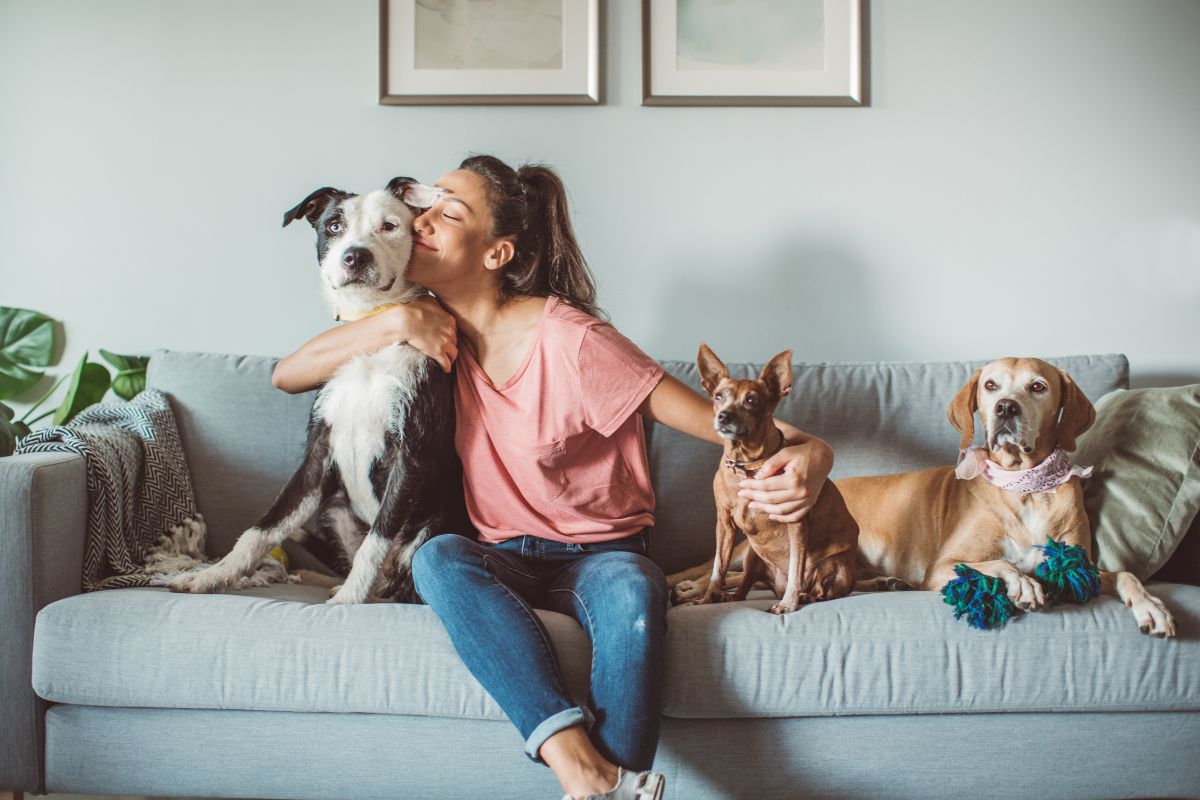 The photo shows dogs and a girl on the couch referring to the offer per--sitting via apps is an easy way to earn money and choose the pets you want to care for.