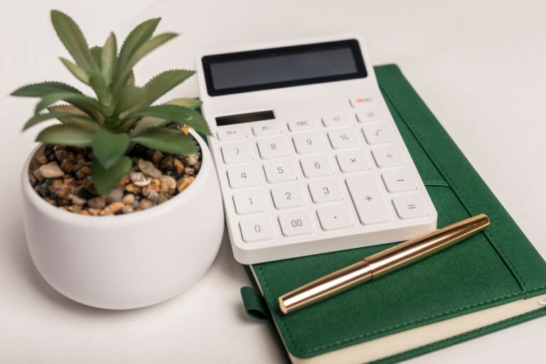 Featured image for MSN - budget categories everyone needs.