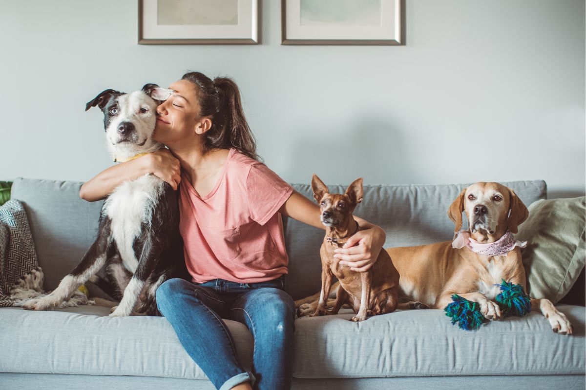 The picture of a woman pet-sitting dogs.