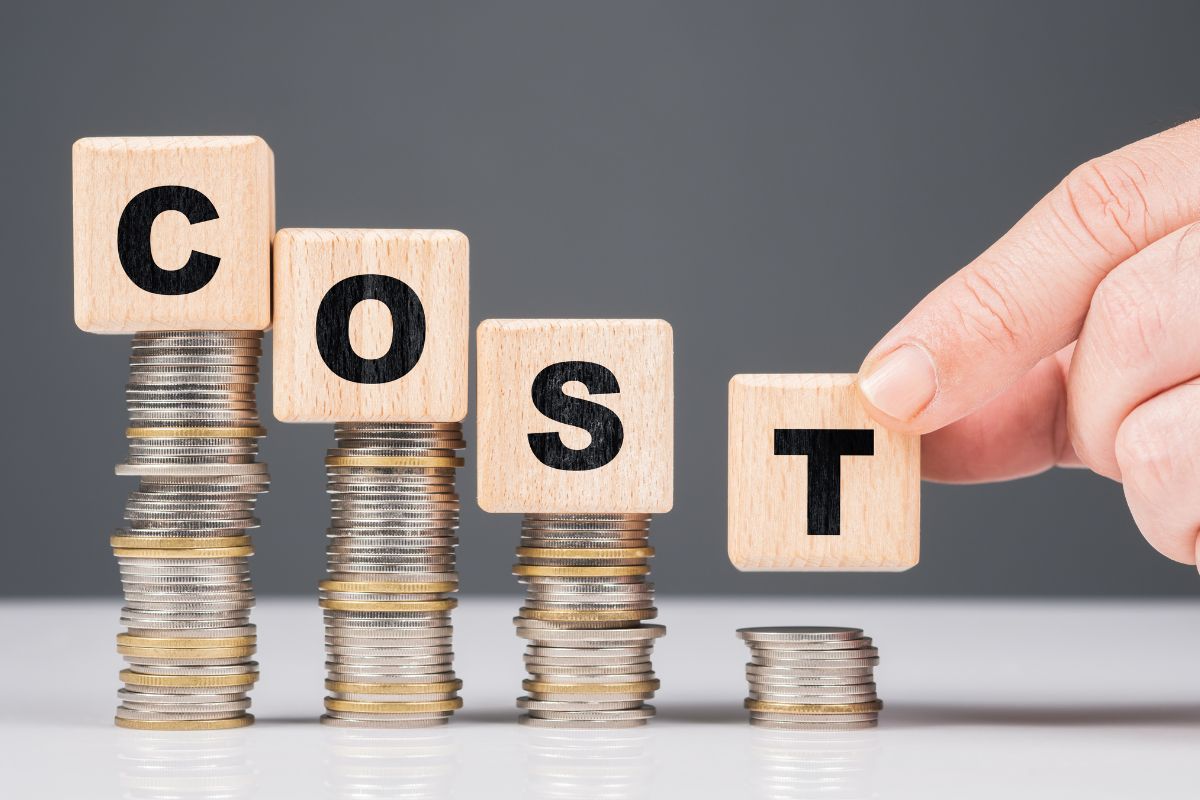 The photo of coins and cost wording on wooden cubes.