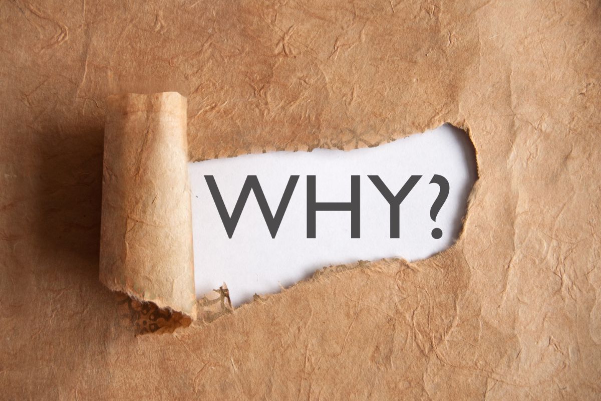 An image of a torn paper with why wording.