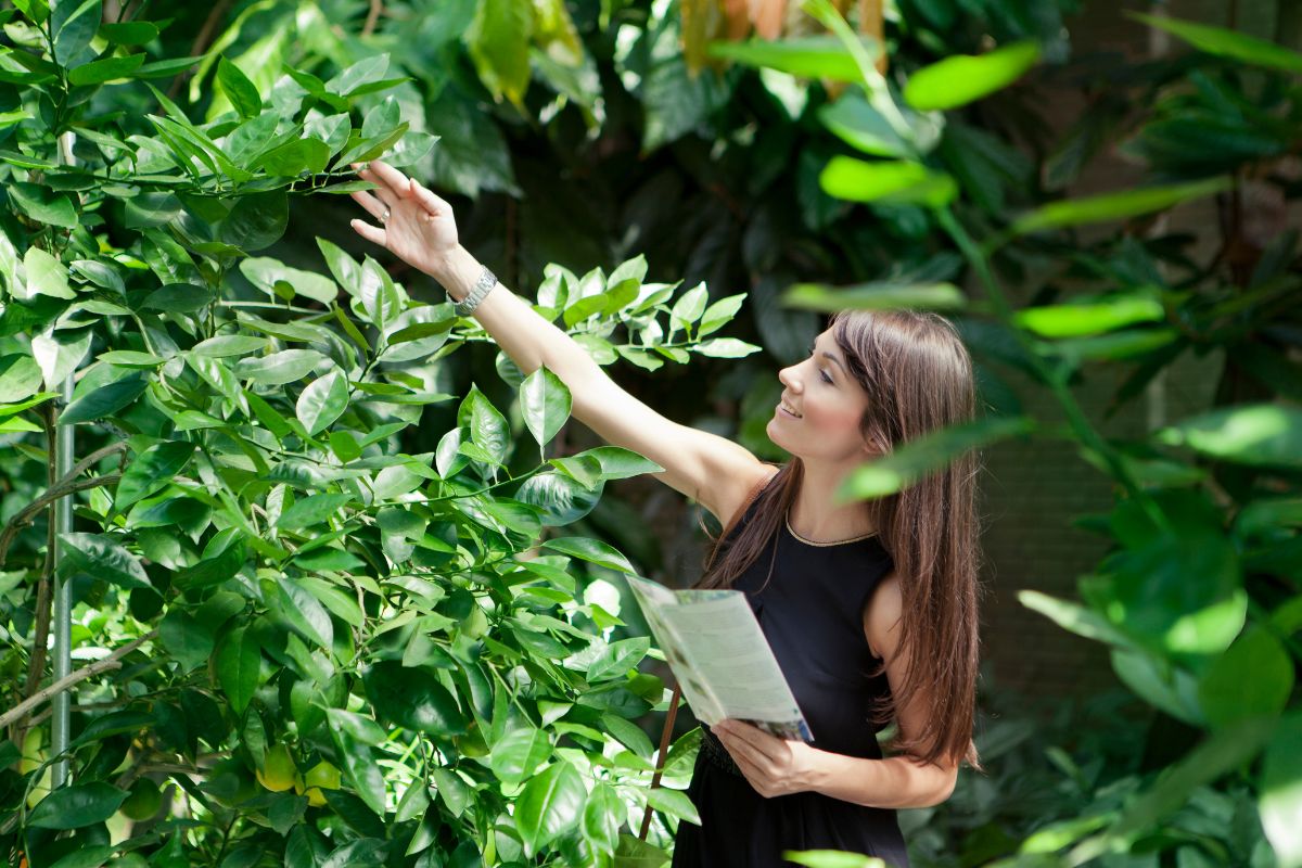 Picture of a woman visiting a botanical garden.