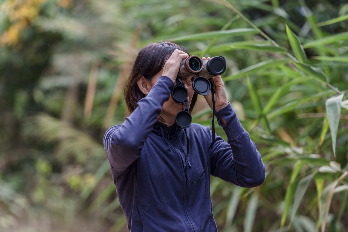 The image shows a girl using a telescope in the forest indicating that birdwatching helps you slow down and enjoy simple things without spending money.