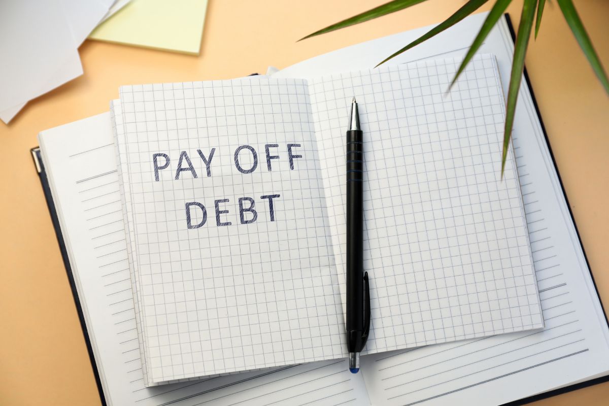 The picture of a plant, a pen, and a notebook with notes on which to review your debt payoff plan helps you move closer to financial freedom.