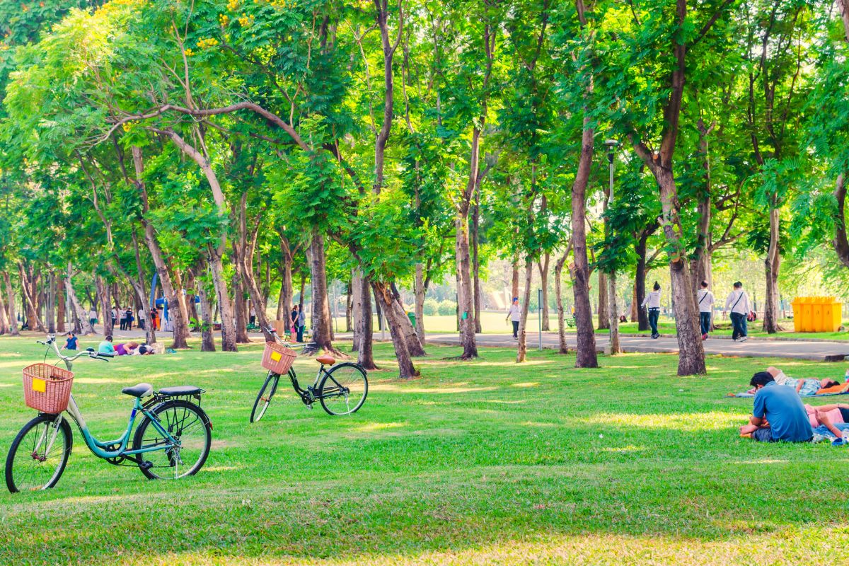 A photo of group of people at the park.