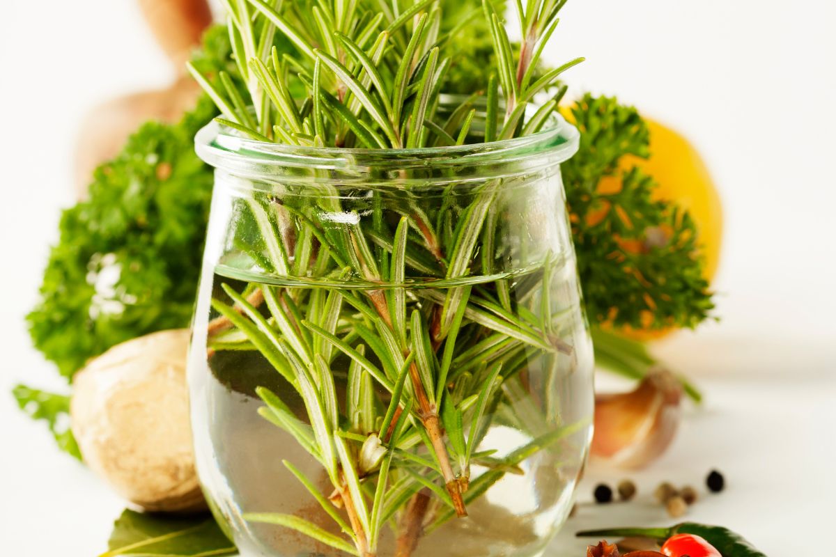 The image of herbs in a jar.