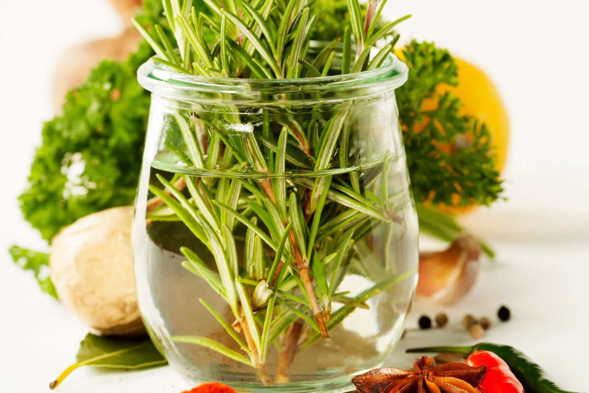 The image tells about leaves and a jar with leaves and water indicating that storing herbs like flowers in water keeps herbs fresh and ready to use by reducing the need to buy new bunches too soon.