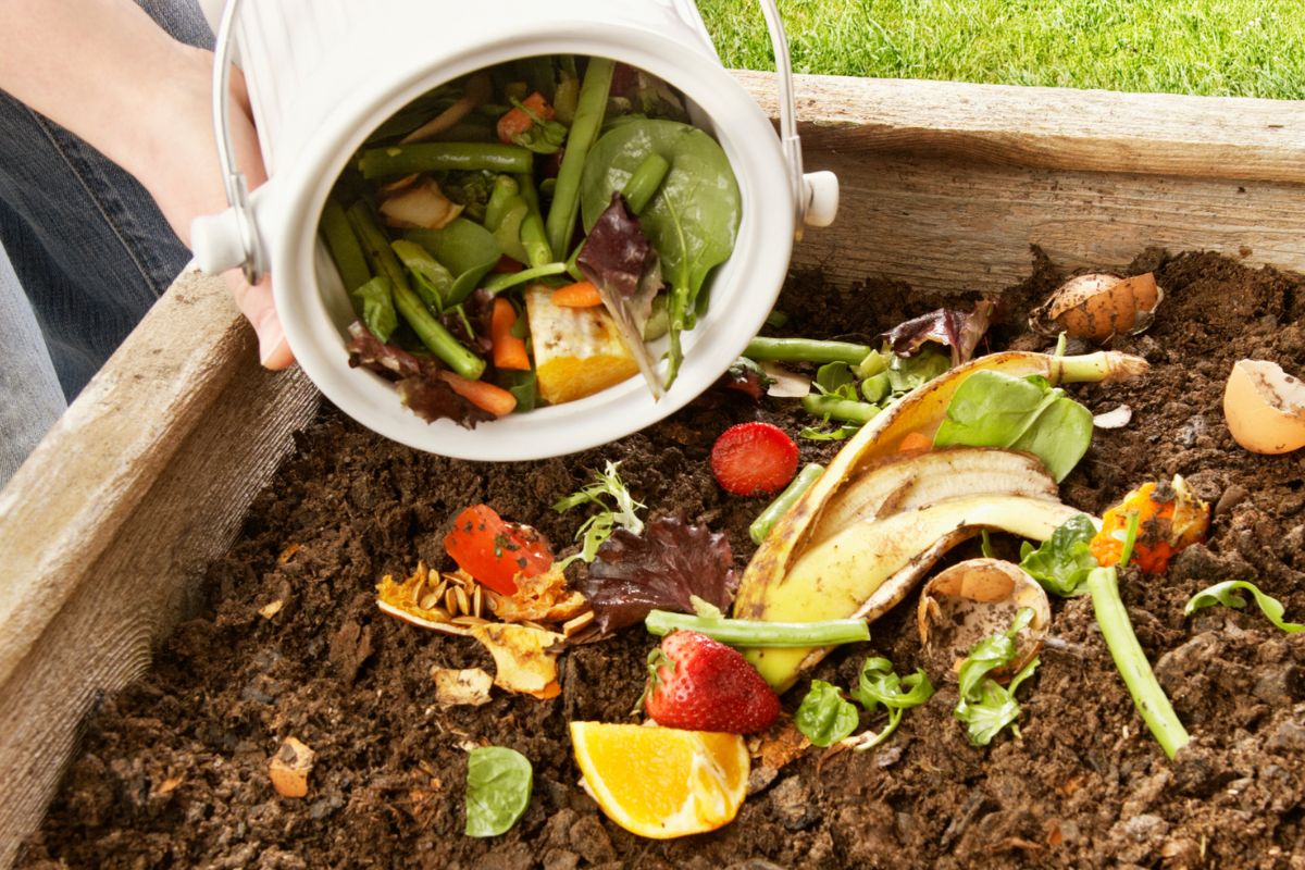 A photo shows a woman doing food waste composting.