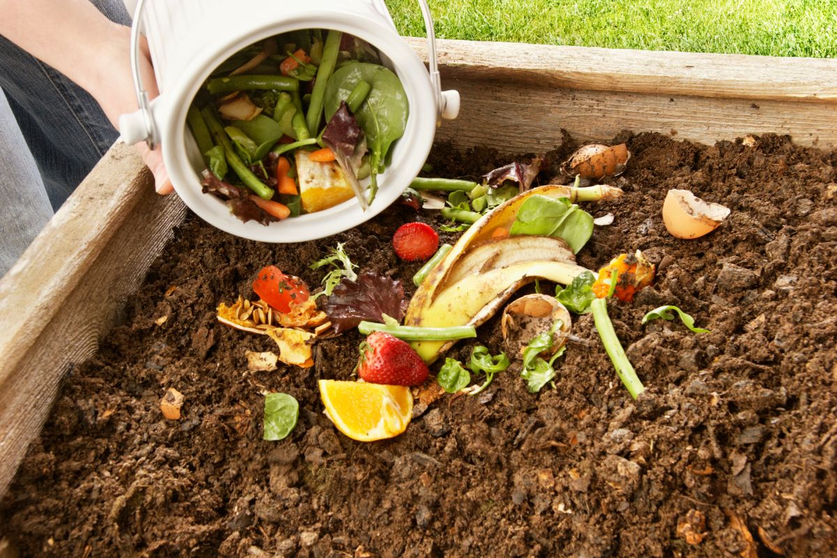 The photo tells about soil and a girl's hand with a bucket full of fruits and vegetables thrown on the sand which means turning food waste into compost helps cut down on garbage and supports a more sustainable food cycle.