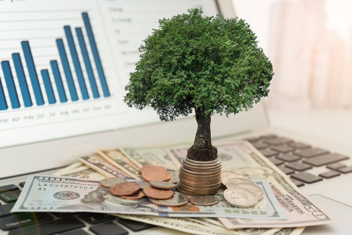 Picture of money, a tree, and a laptop.