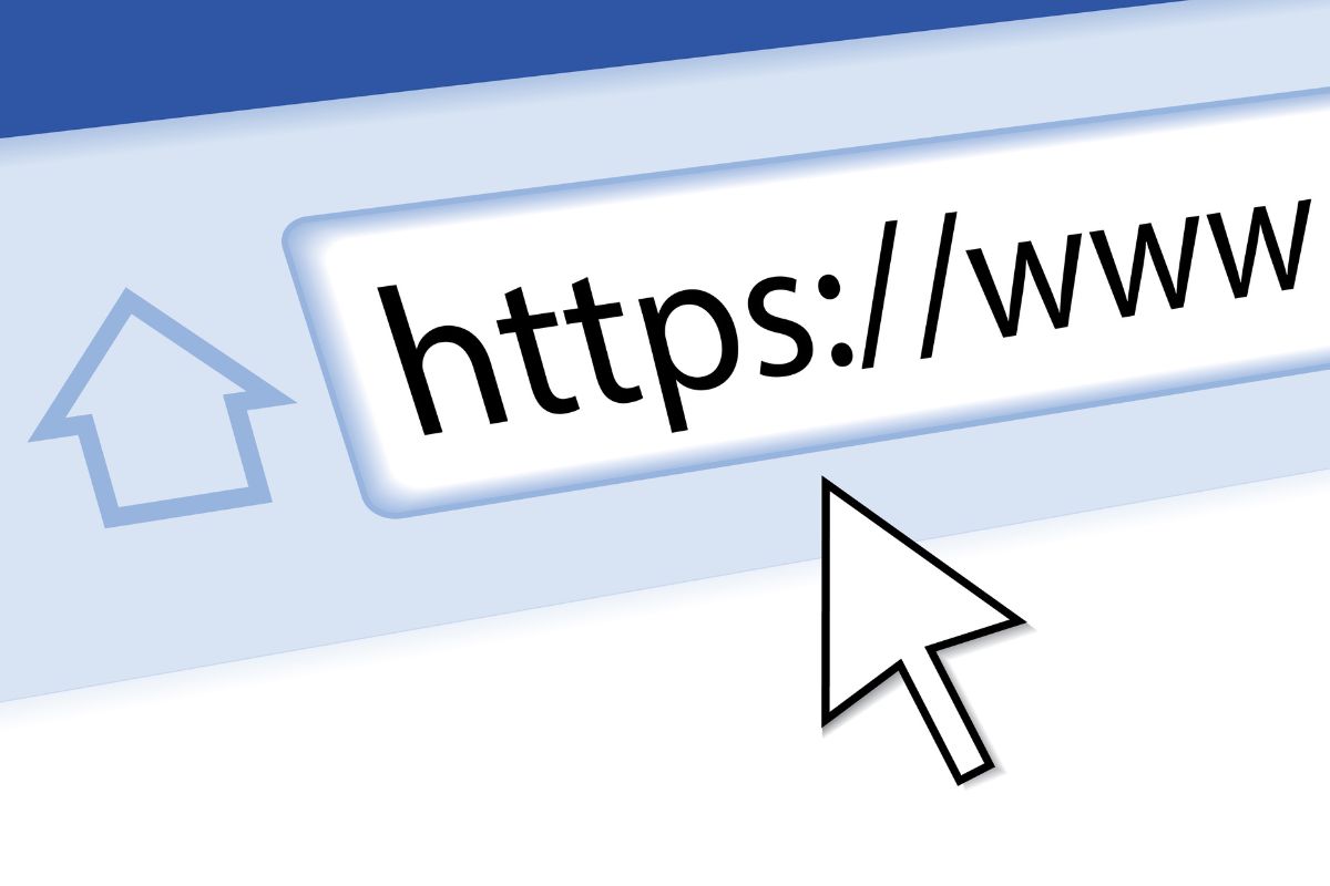 The picture shows the address of a website with a curser indicating that website flipping is a great way to build wealth online.
