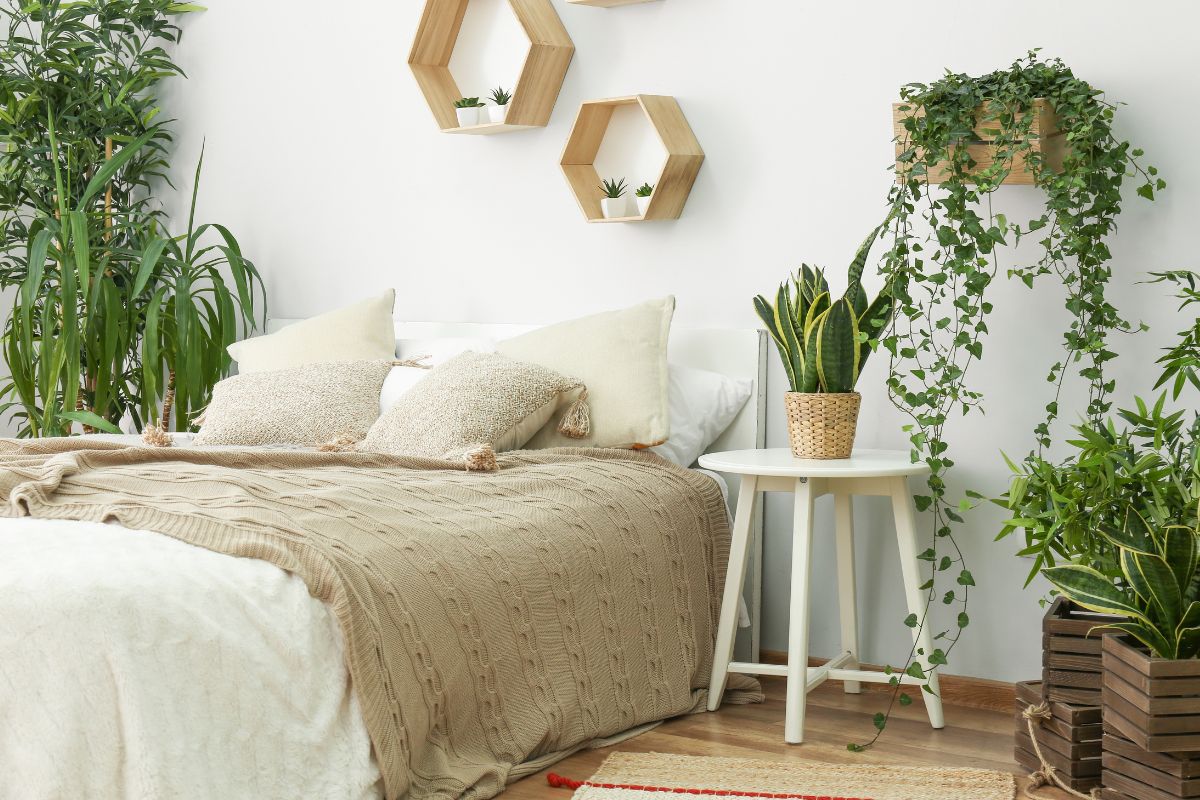 The picture of plants, a table, and a bed with pillows and blankets referring to renting out a spare room helps you build financial security with assets you already own.