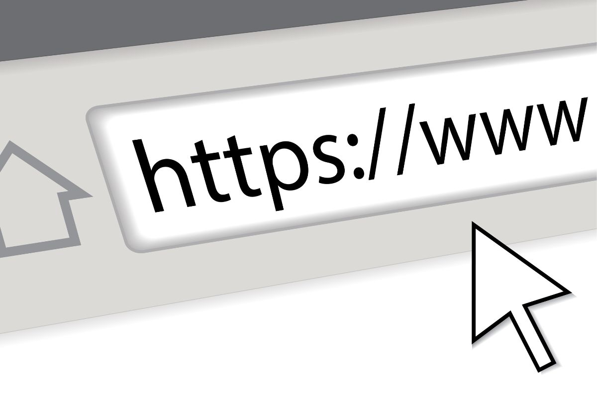 The picture shows web testing.