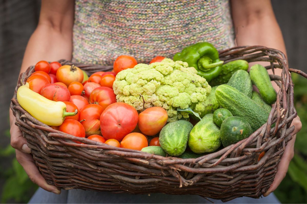 The photo shows a woman carrying a basket of seasonal produce.