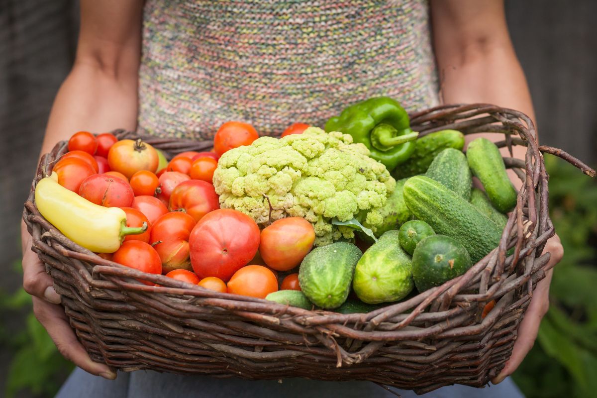 The photo shows a girl's hand holding a basket with vegetables which refers to shop seasonal produce that keeps grocery costs low while still allowing for a variety of healthy meals.