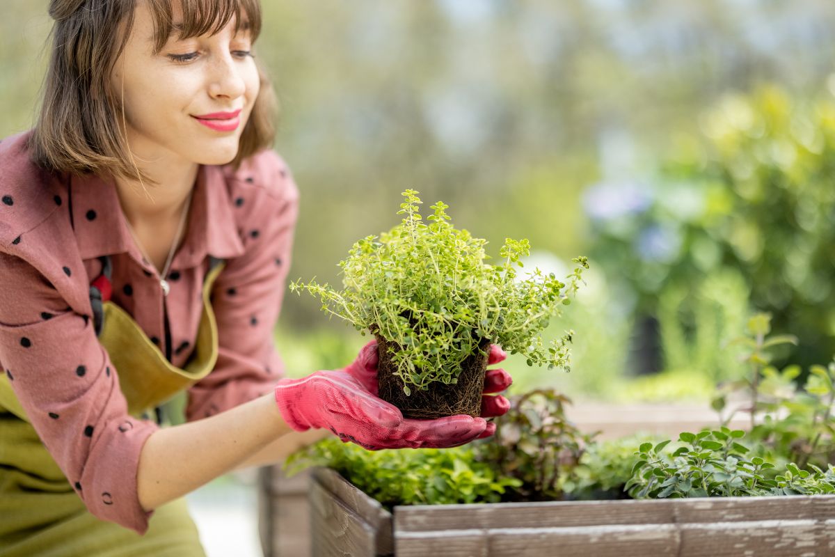 An image of a woman growing her herbs.