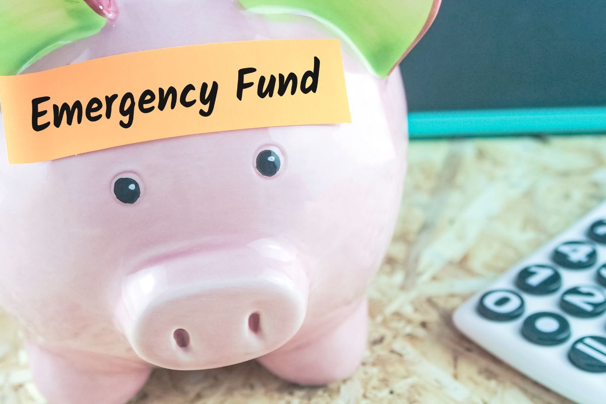 The photo of a piggy bank for an emergency fund.