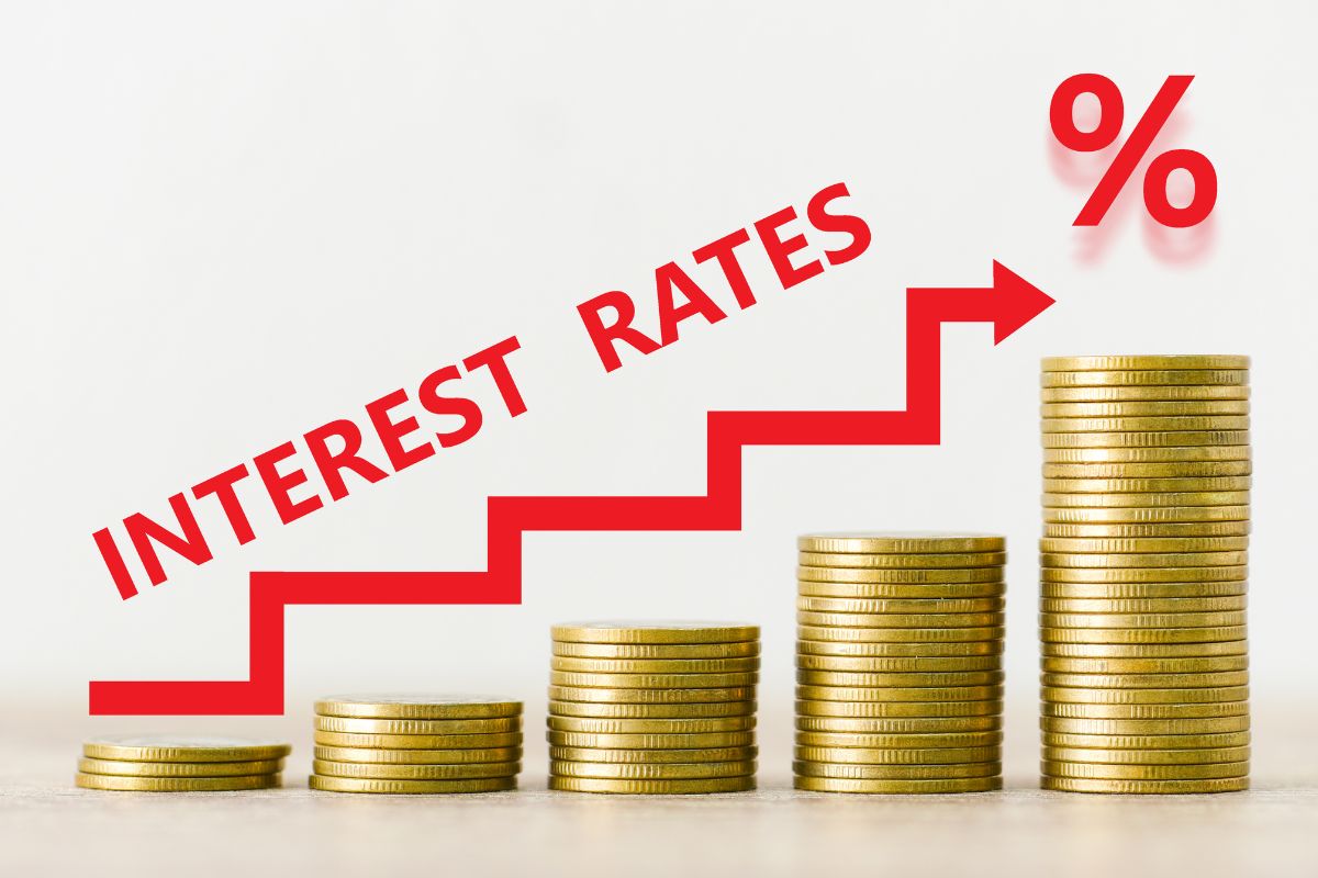 The photo tells about coin stocks, increasing arrow, percentage icon, and notes which refers to eliminating interest payments and lets you focus on building a solid financial future instead of just getting by.