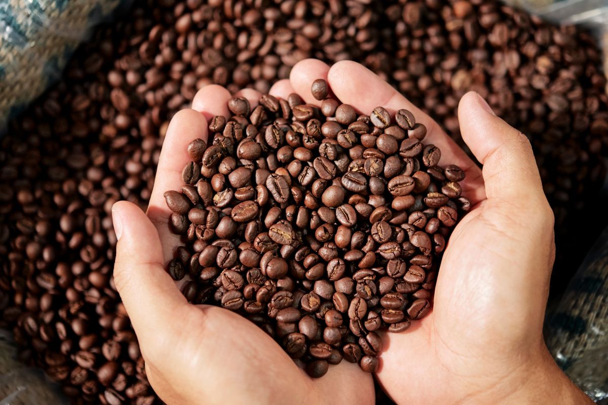 The image shows a bulk of coffee beans.