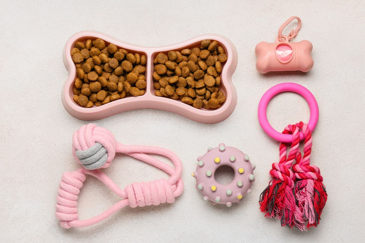 The photo shows pet accessories.
