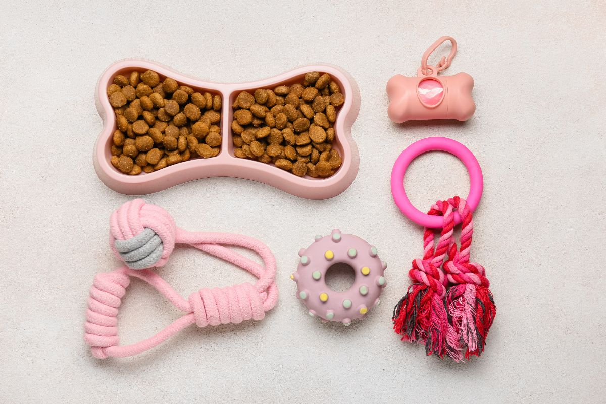 The image tells about how fancy pet accessories and food can drain your wallet, spending wisely on pet care helps keep costs manageable.