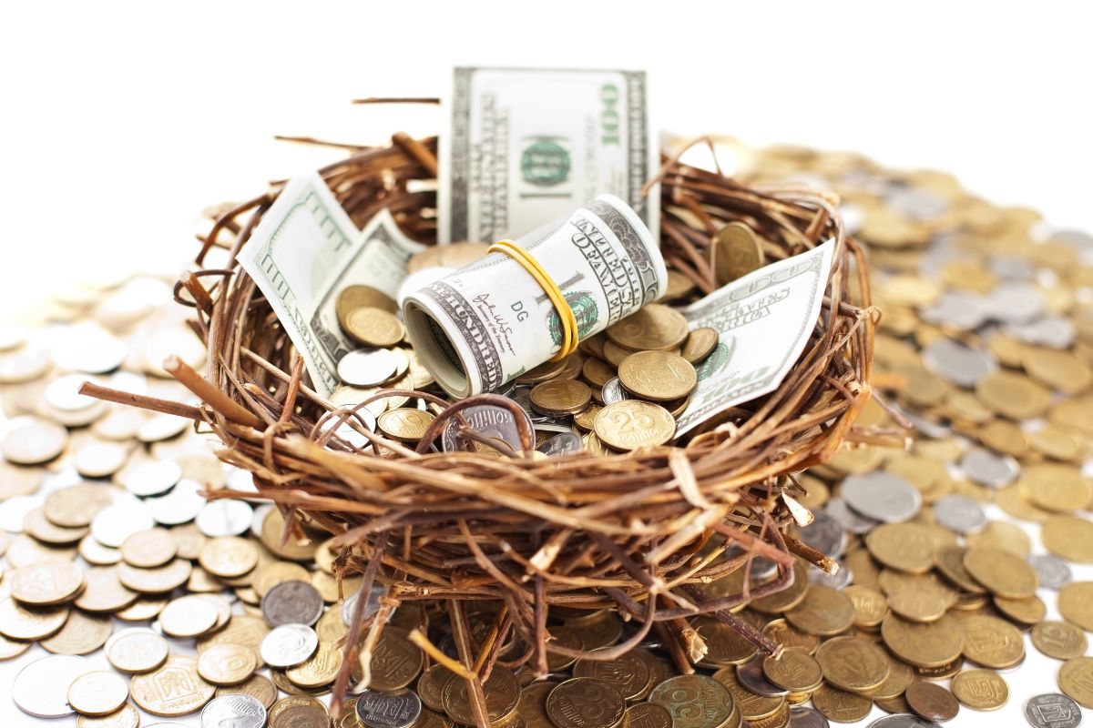 The image is about money on a nest egg.