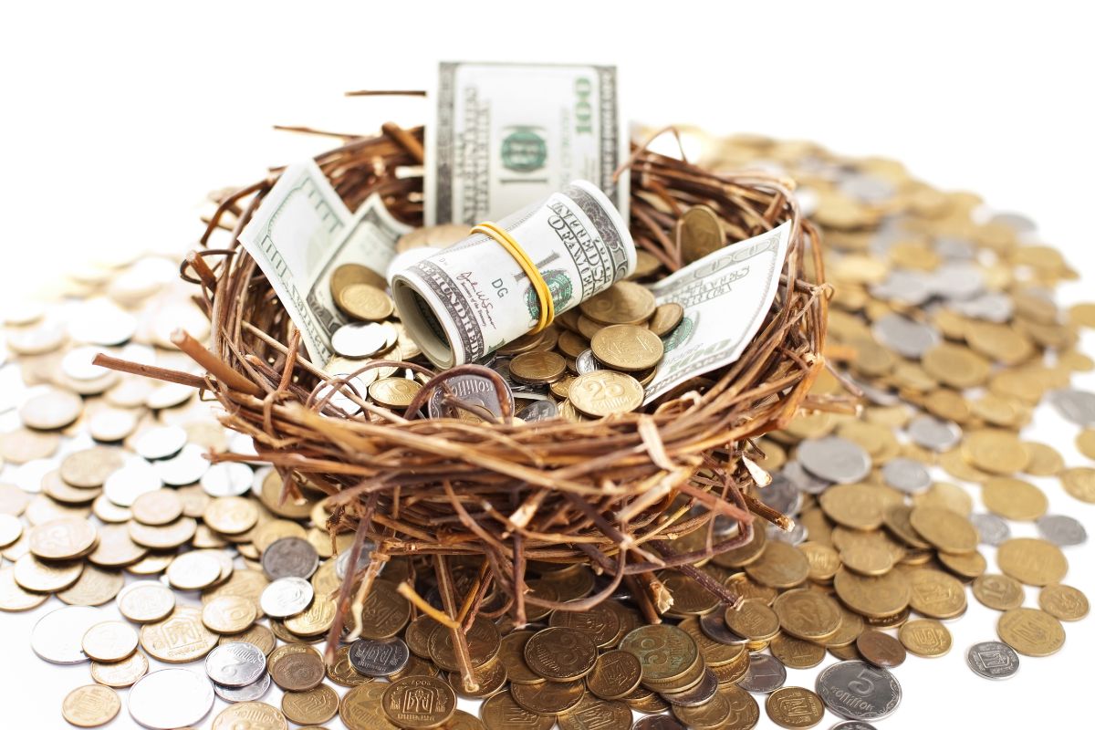 The photo shows coins and a nest with dollar bills and coins inside which means how big should my nest egg be to estimate your future costs and adjust as needed for fewer money worries.  