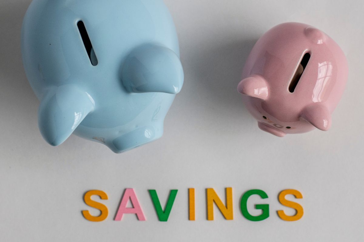 The picture shows savings.