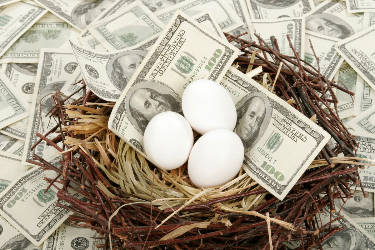 The photo shows dollar bills and a nest with eggs and dollar bills inside which refers to creating a sizeable nest egg to make sure you don't run out of money.