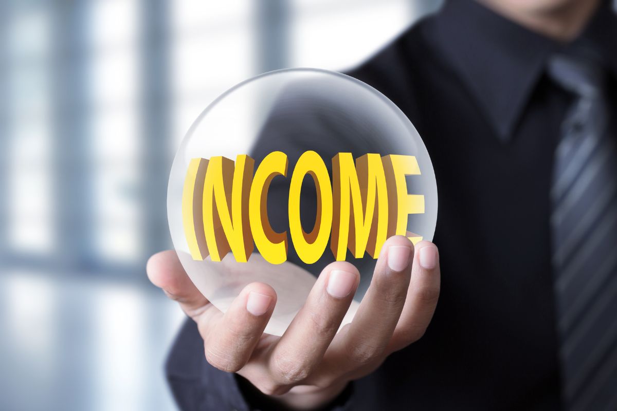 The photo shows a man's hand holding a ball with income wording.
