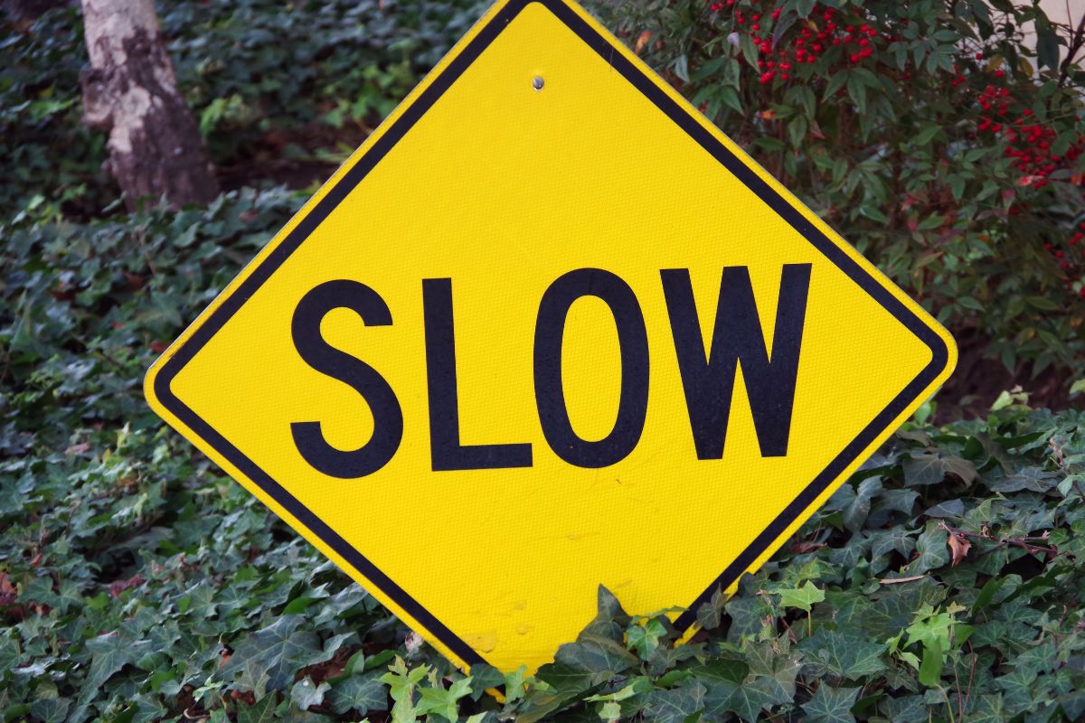 The photo shows a sign with slow wording.