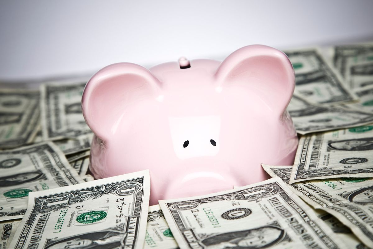 The picture shows dollar bills and a piggy bank.