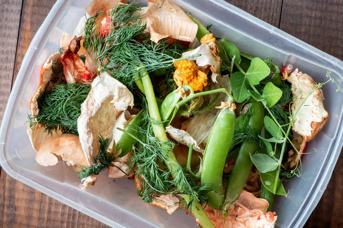 The photo shows a container with leftovers.