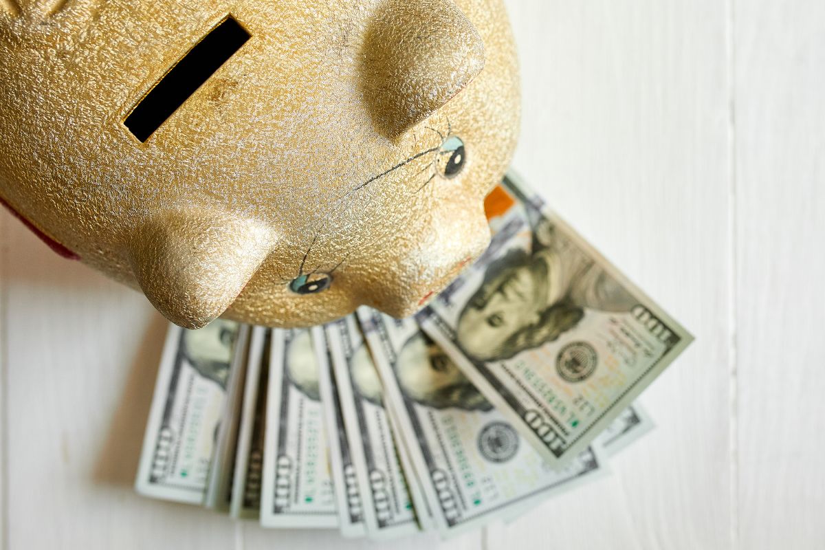 The photo of dollar bills and a piggy bank for double savings.