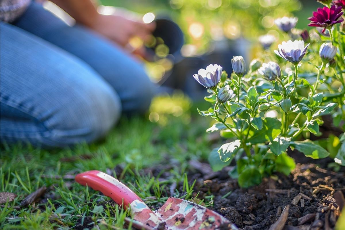 The picture shows a woman doing yard work.
