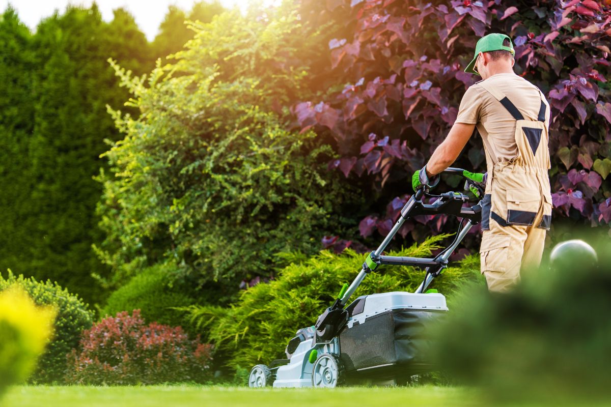 A picture of a man doing mowing services.