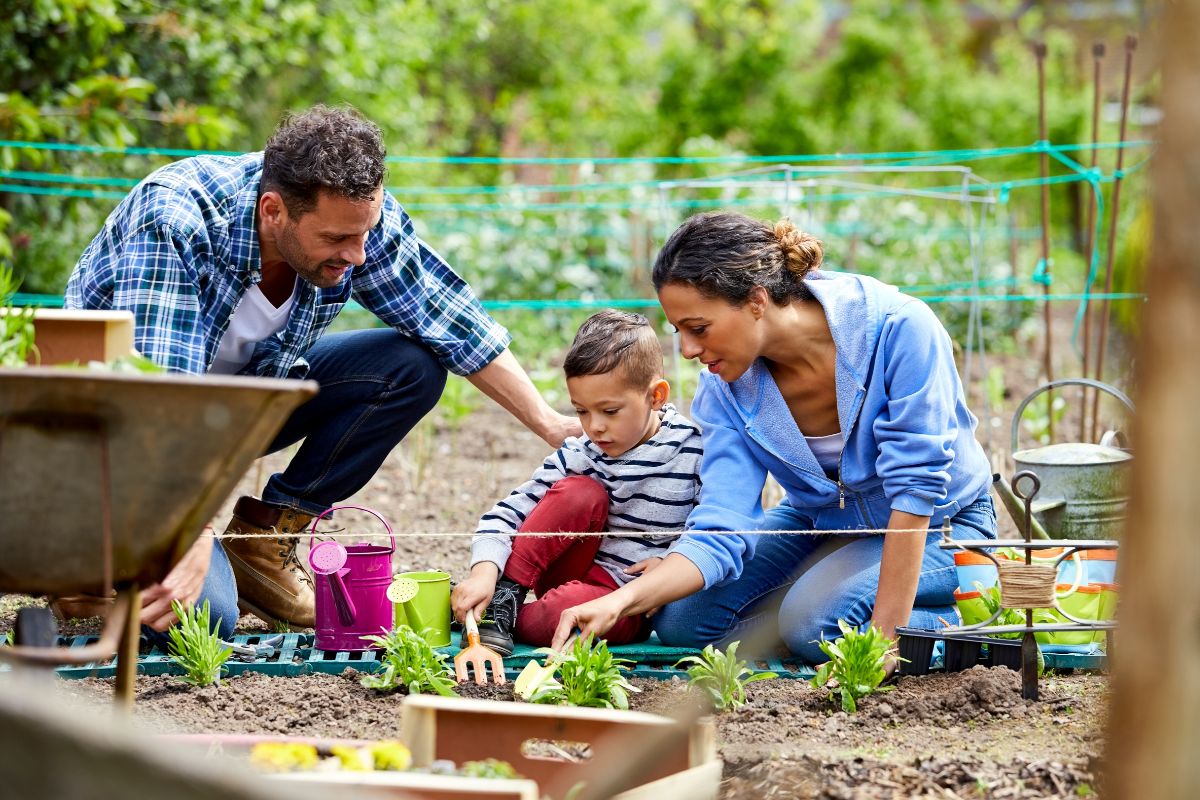 A picture of a family planting.