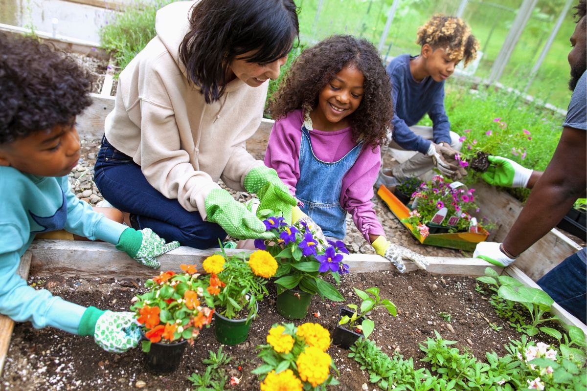 A picture of a family planting. 