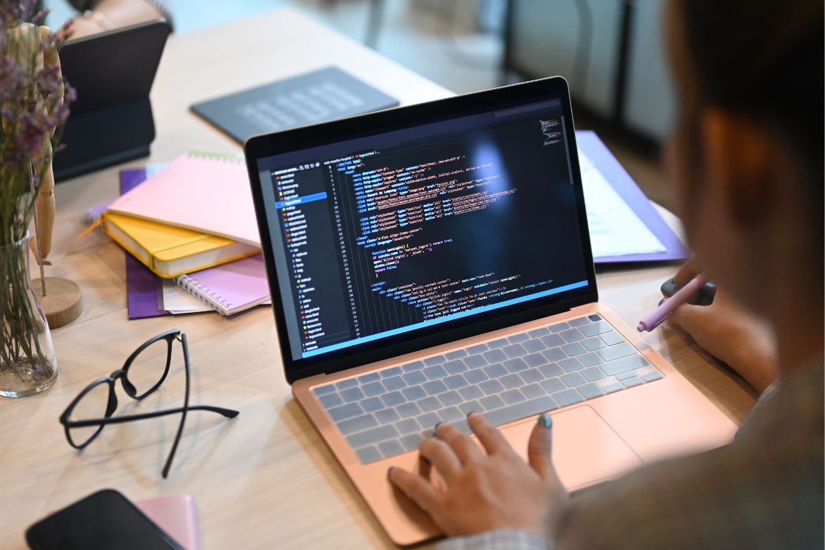 A picture of a Software Developer.