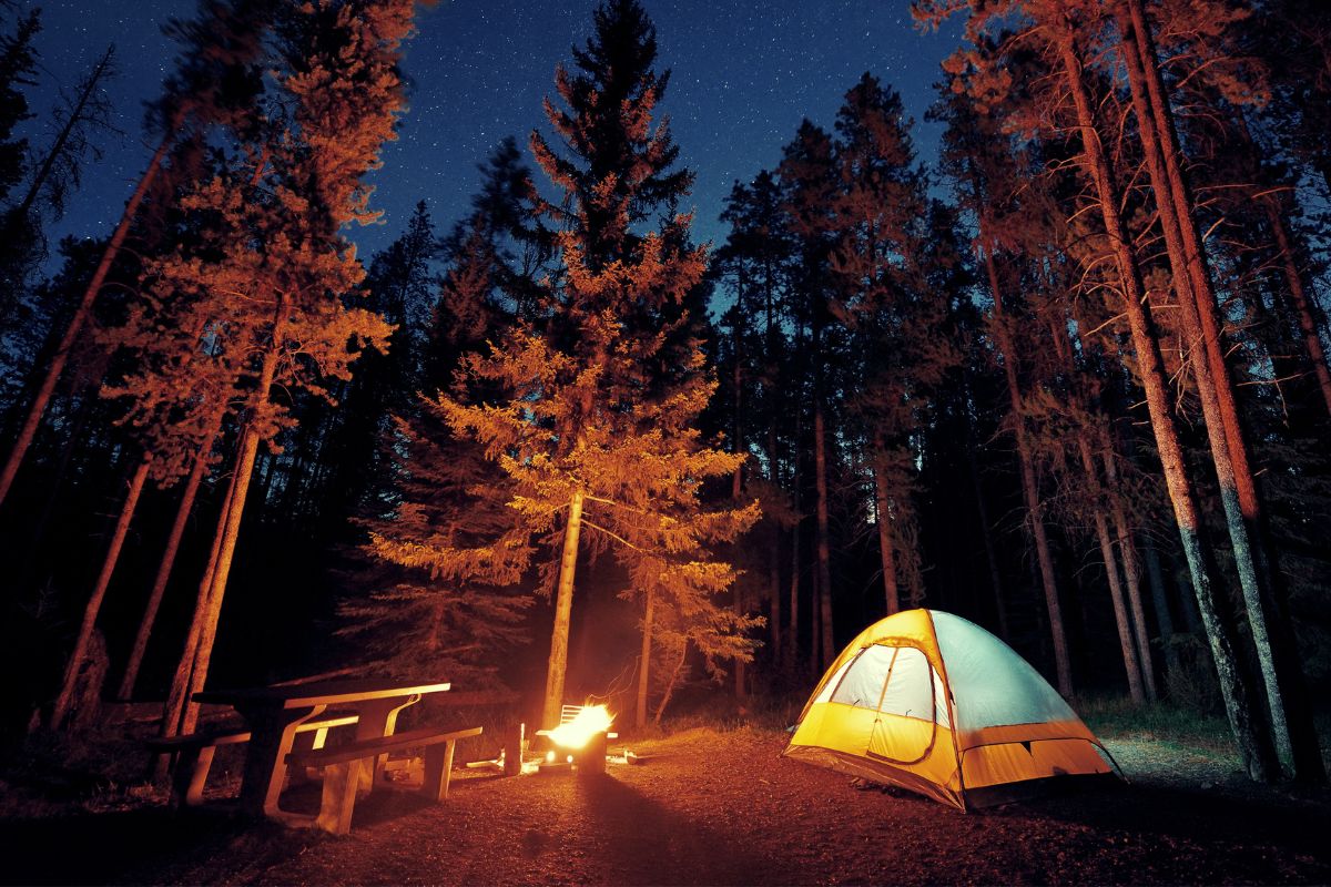 A picture of someone camping in the woods.