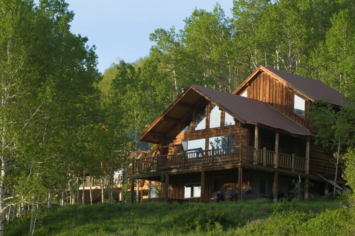Cabin in the woods. 