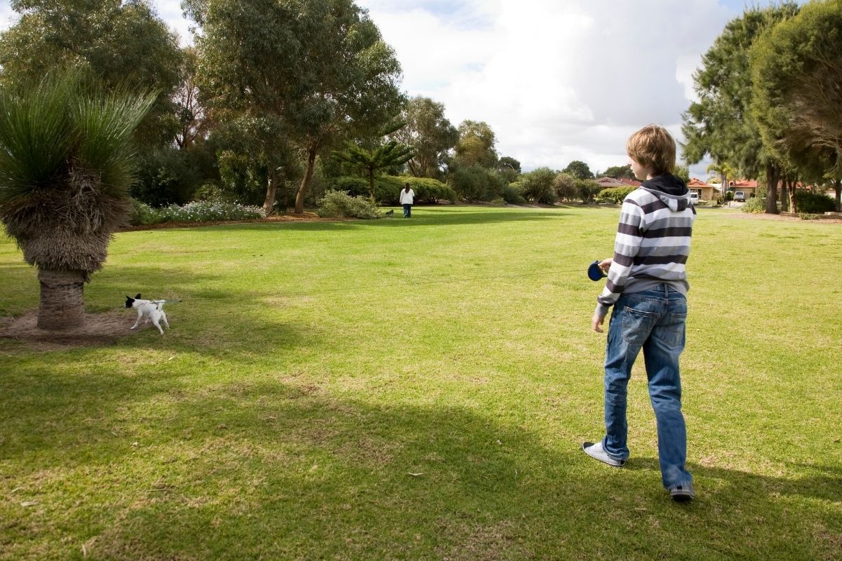 A picture of a boy taking a dog on a walk.