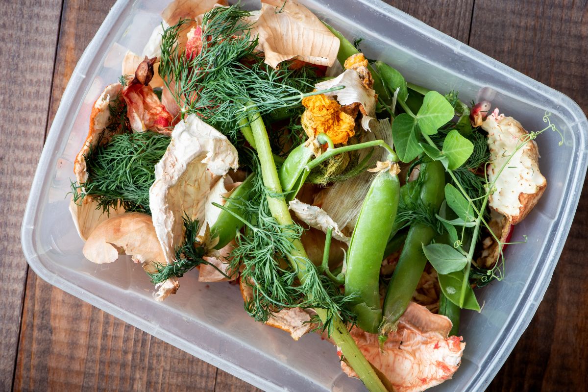 The picture shows a container with leftovers.