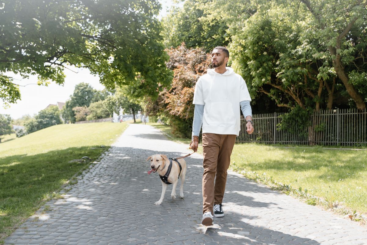 A picture of someone walking their dog.