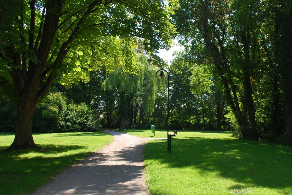 A picture of a park.