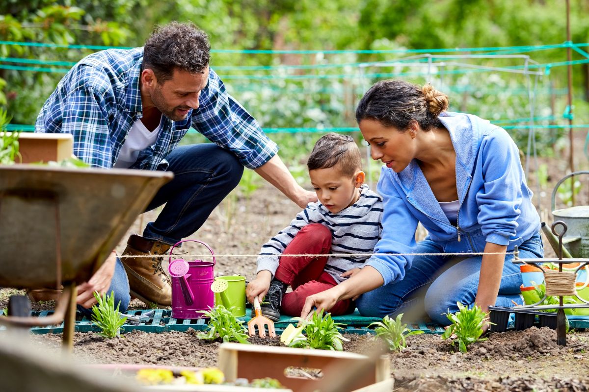 A picture of a family gardening. 