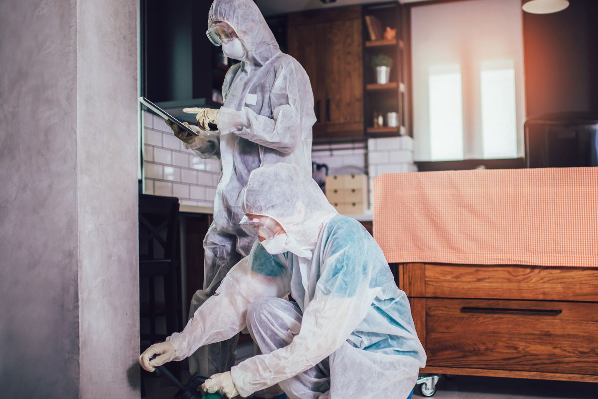 A picture of someone doing pest treatment.