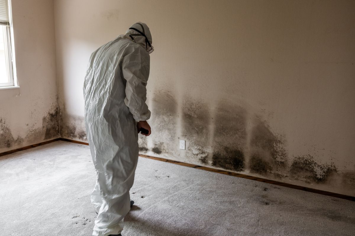 A picture of someone inspecting the molds on the wall. 